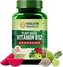 Himalayan Organics Plant-Based Vitamin B12 Supplement