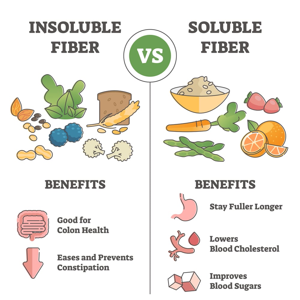 The Importance of Fiber in the Diet
