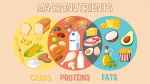 Macronutrients 