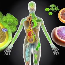 The science behind detoxification