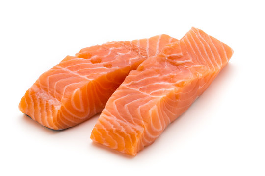 Salmon