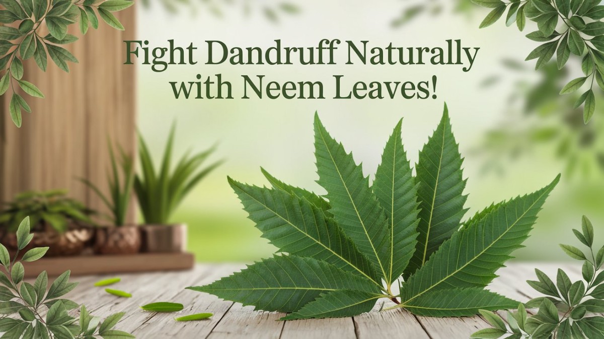 This is an image for topic Fight Dandruff Naturally with Neem Leaves!