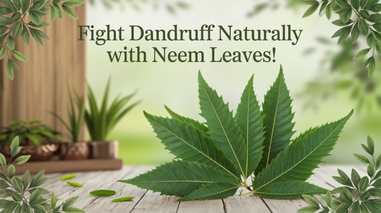 Fight Dandruff Naturally with Neem Leaves!