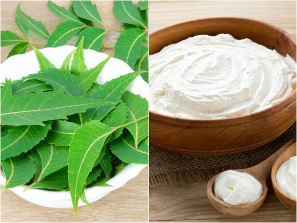 Neem with curd for dandruff 