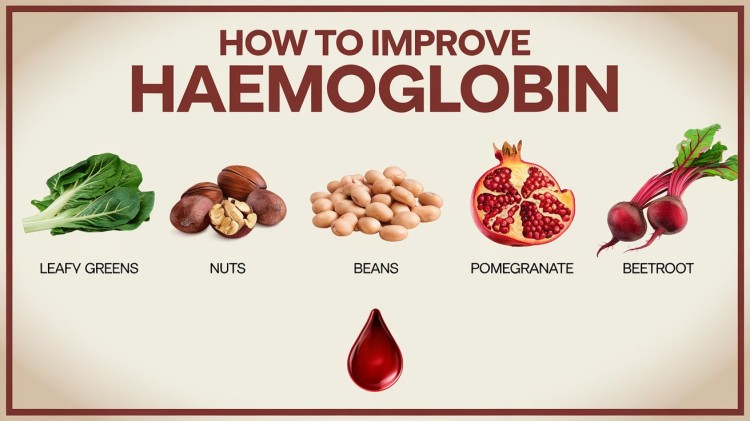 How to Improve Hemoglobin?