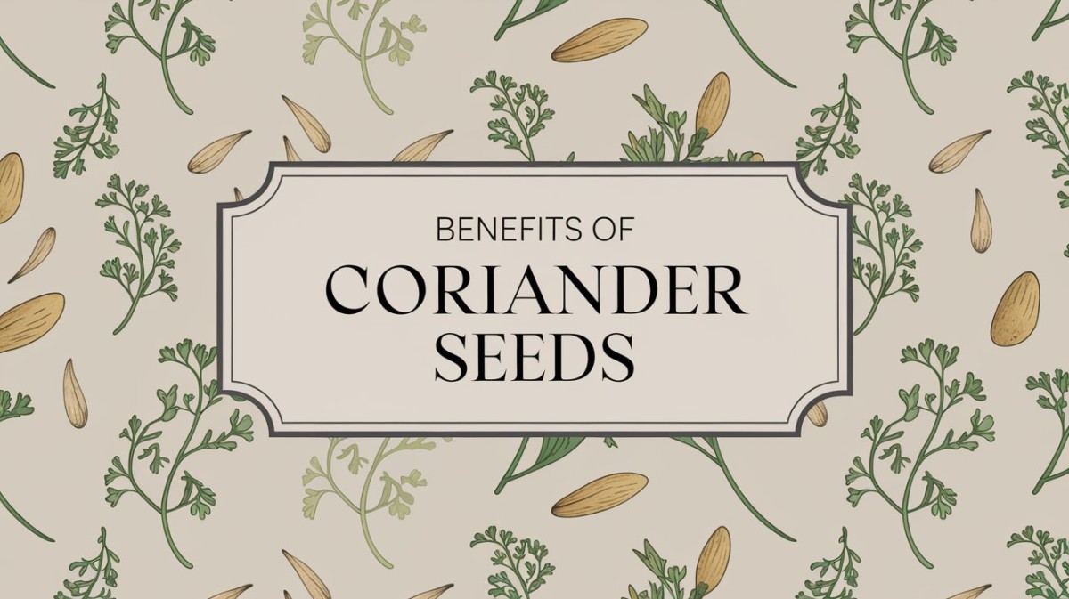 This is an image for topic Benefits of Coriander Seeds 