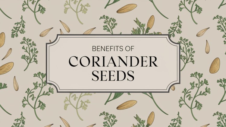 Benefits of Coriander Seeds 